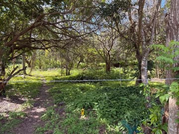 Lotes no Bairro Açores, Florianópolis/SC — foto 31